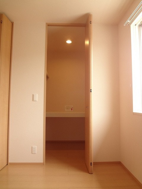 Other. Walk-in closet