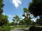 park. 242m until Oshimizu North Park (park)