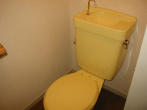 Toilet