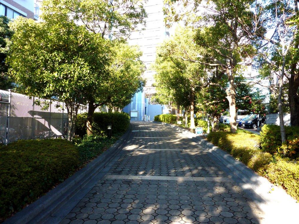 Other local. Local (12 May 2013) Shooting