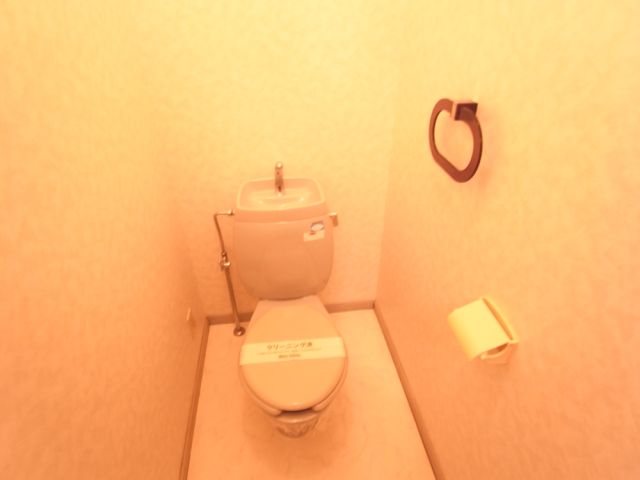 Toilet. Toilet