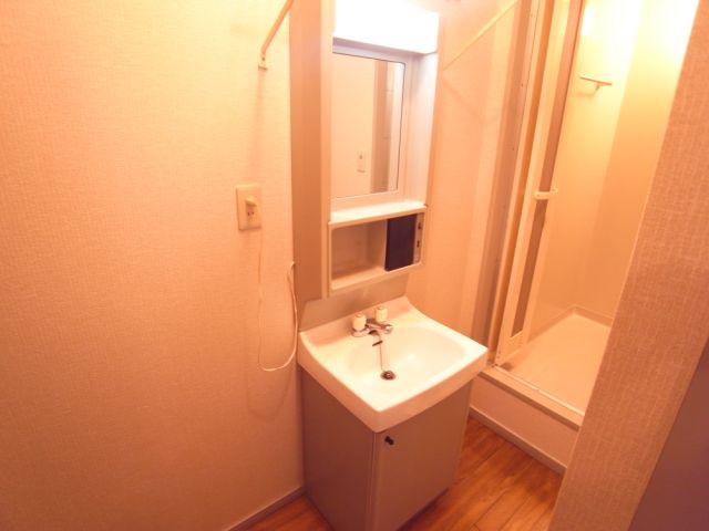 Washroom. Bathroom vanity