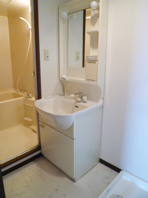 Washroom. Independent wash basin with shampoo dresser