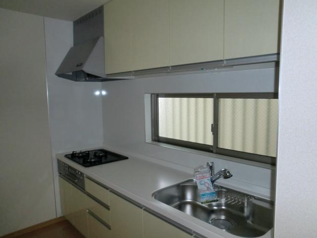 Kitchen. Indoor (10 May 2013) Shooting