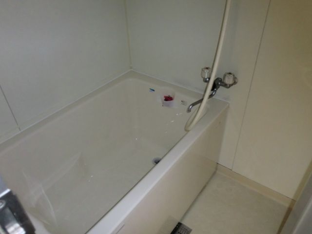 Bath. Bath with shower