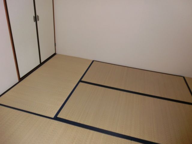 Living and room. Room of tatami calm