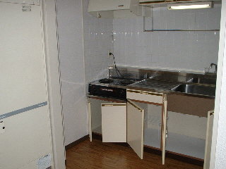 Kitchen. Cute kitchen with accent!