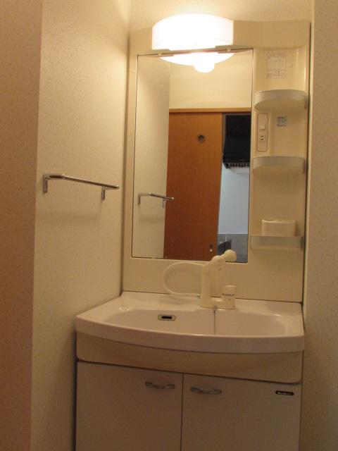 Washroom. Bathroom vanity