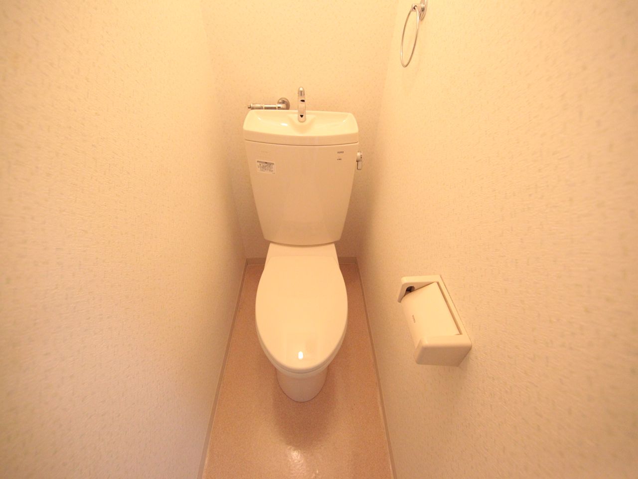 Toilet. Western-style toilet