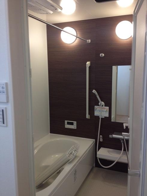 Same specifications photo (bathroom). UB construction cases