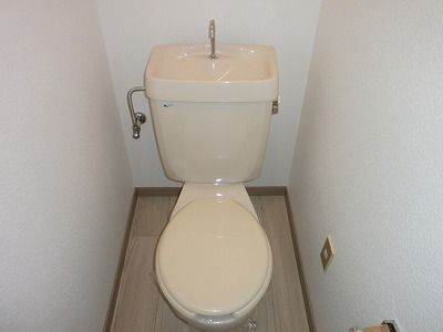 Toilet. clean Restroom