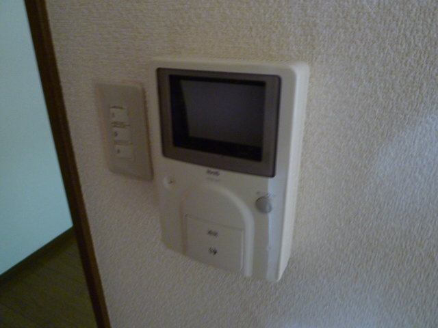 Security. Monitor with intercom