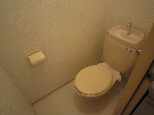 Toilet. It is a beautiful rest room. 