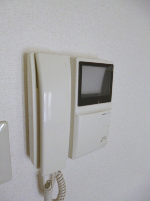 Security. Interphone with a monitor