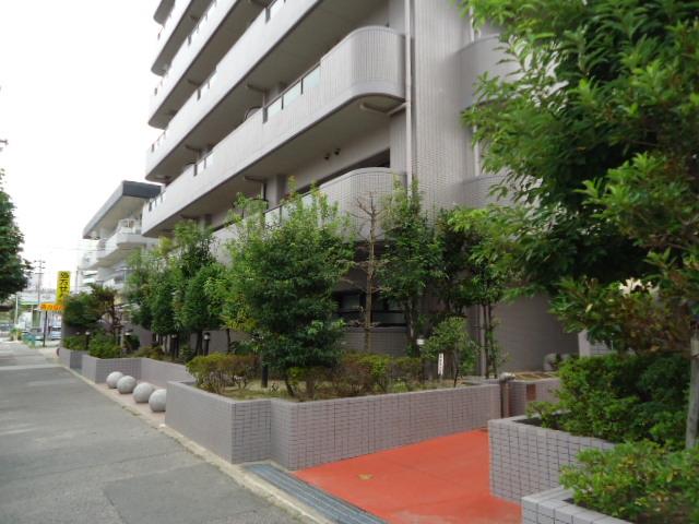 Local appearance photo. 2013 September shooting