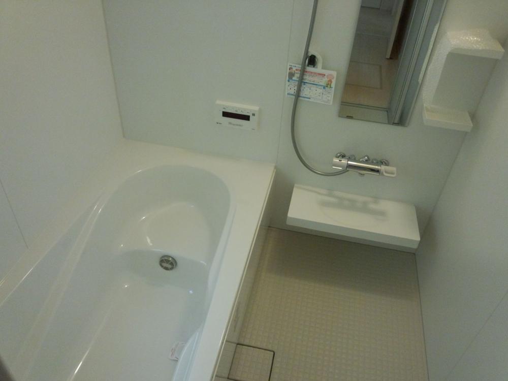 Bathroom. Indoor (11 May 2013) Shooting