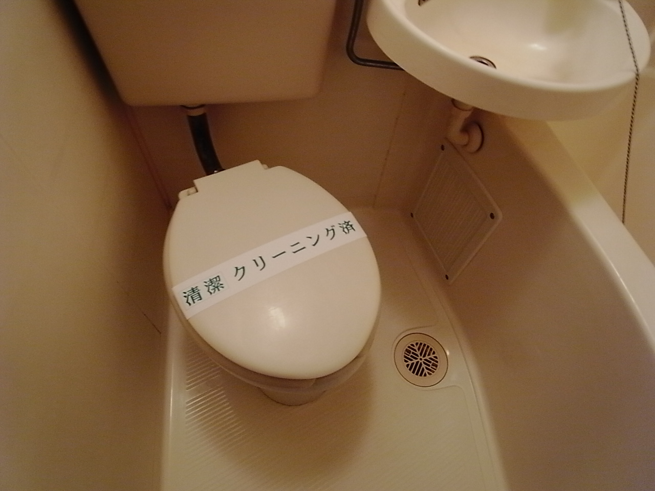 Toilet. Toilet bath