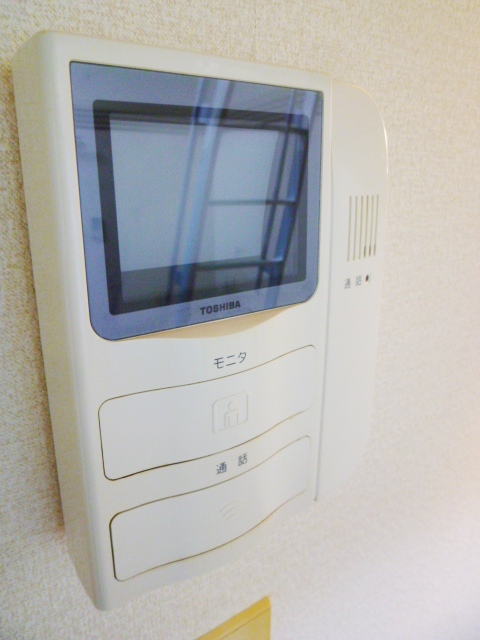 Security. Monitor with intercom