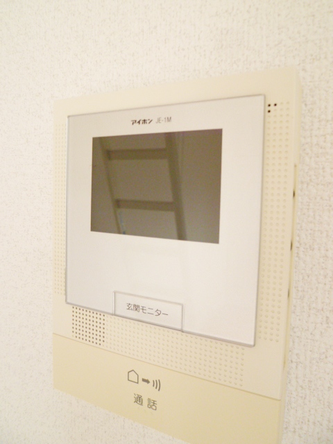 Security. Monitor with intercom