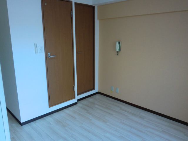 Living and room. Stylish door!
