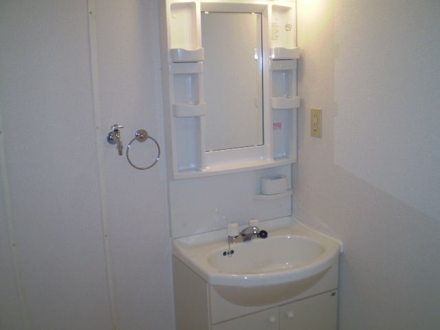 Washroom. Bathroom vanity