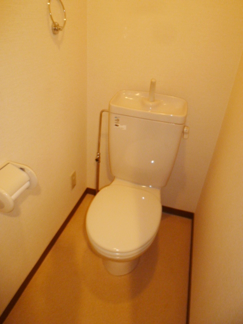 Toilet. Western-style toilet