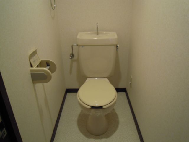 Toilet. Clean rest room! 