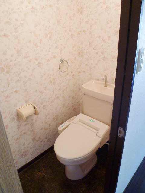 Toilet. Washlet with WC