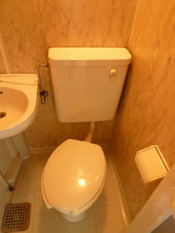 Toilet