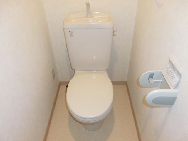 Toilet. It is a beautiful rest room. 