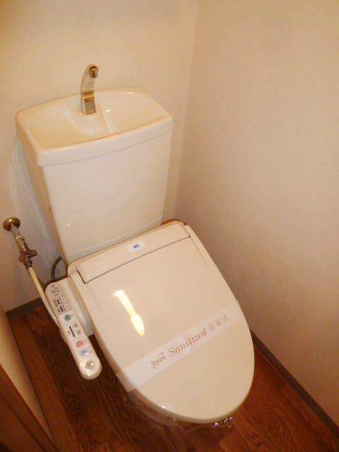 Toilet. WC With Washlet