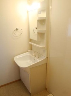 Washroom. Independent wash basin (with shampoo dresser)