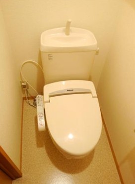 Toilet. Toilet (shower toilet)