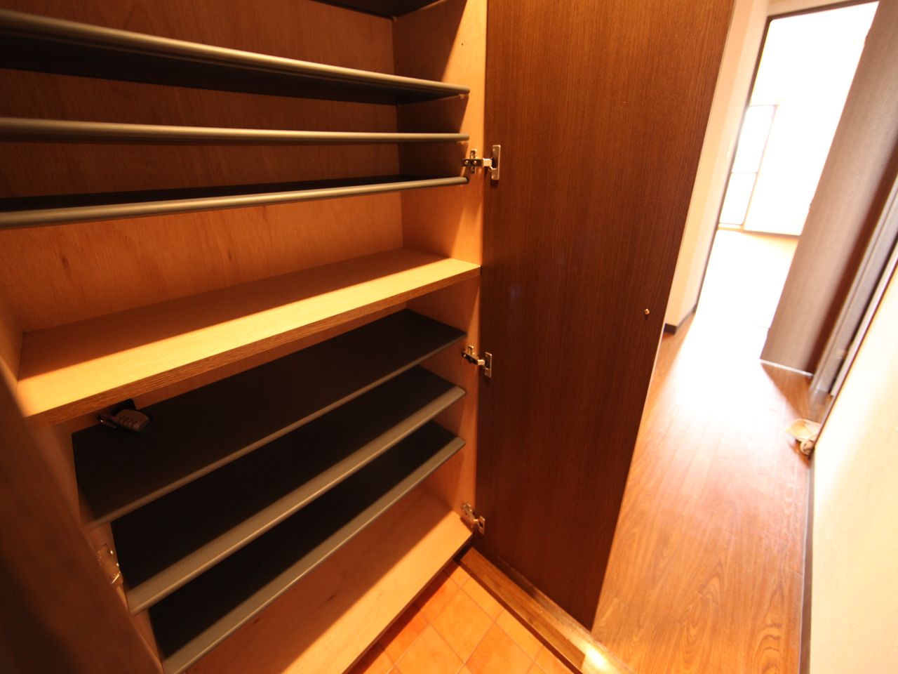 Entrance. Entrance Shoes with a box (storage rich have)