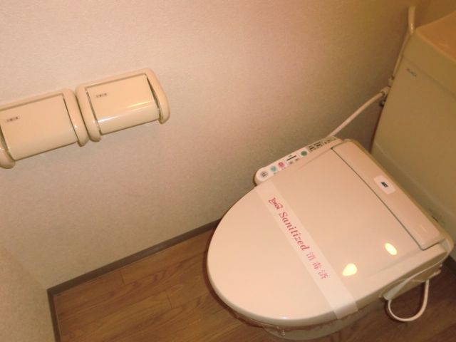 Toilet. Bidet with toilet