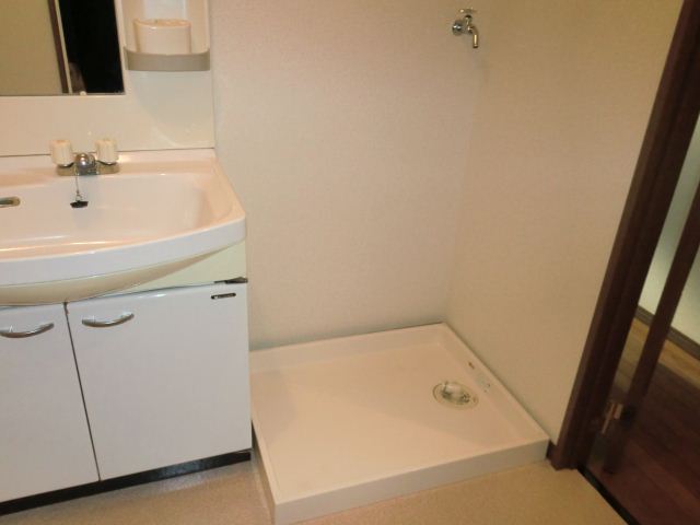 Washroom. Laundry Area is also of course the room! 