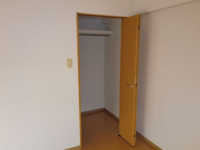 Living and room. Walk-in closet! It is quite wide!