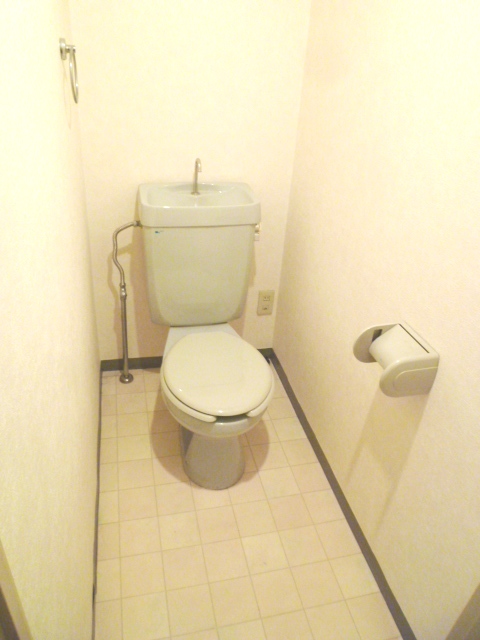 Toilet. Western-style toilet