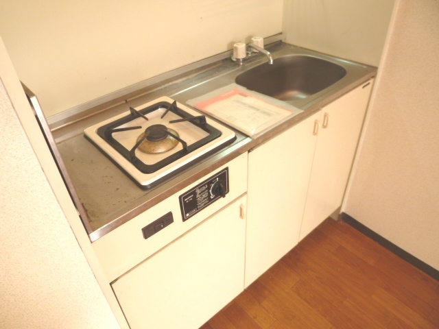 Kitchen. Kitchen (1-neck with a gas stove)