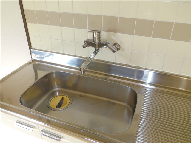 Kitchen. Single is a lever faucet! 