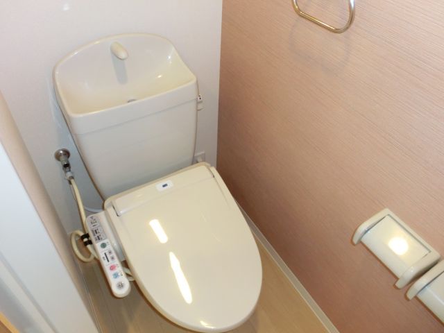 Toilet. Toilet with hanging shelf is glad cleanliness