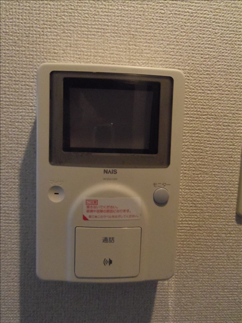 Security. Monitor with intercom