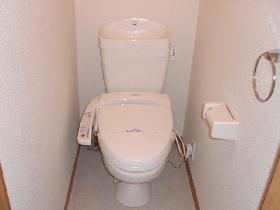 Toilet. With warm water washing toilet seat