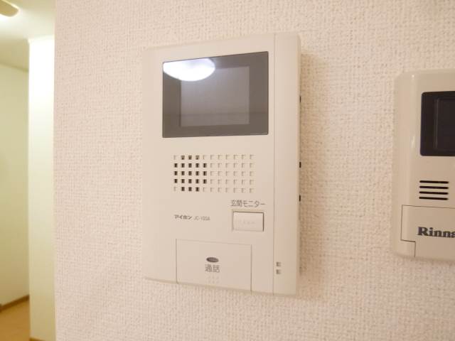 Security. TV Intercom (The photograph is an image)