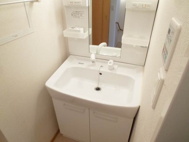 Washroom. Shampoo wash basin (The photograph is an image)