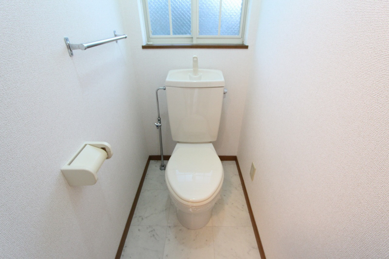 Toilet. Toilet with cleanliness