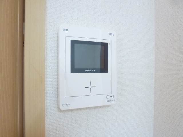 Security. TV Intercom (The photograph is an image)