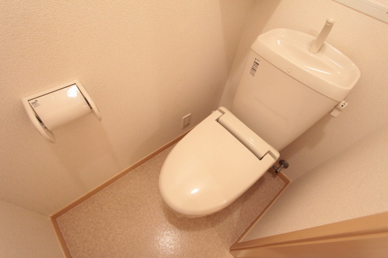 Toilet. Toilet with cleanliness