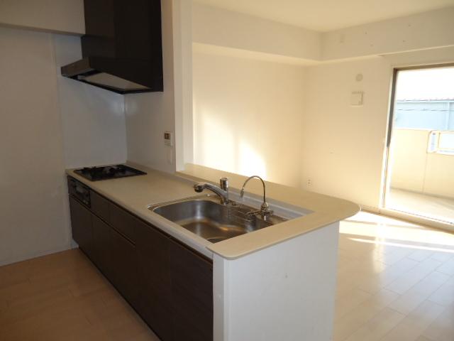 Kitchen. System Kitchen shooting