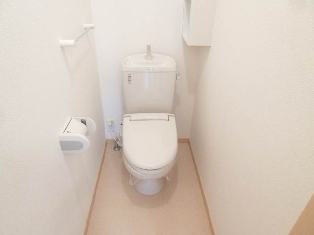Toilet. The photograph is an image.